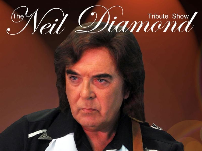 the neil diamond tribute show
